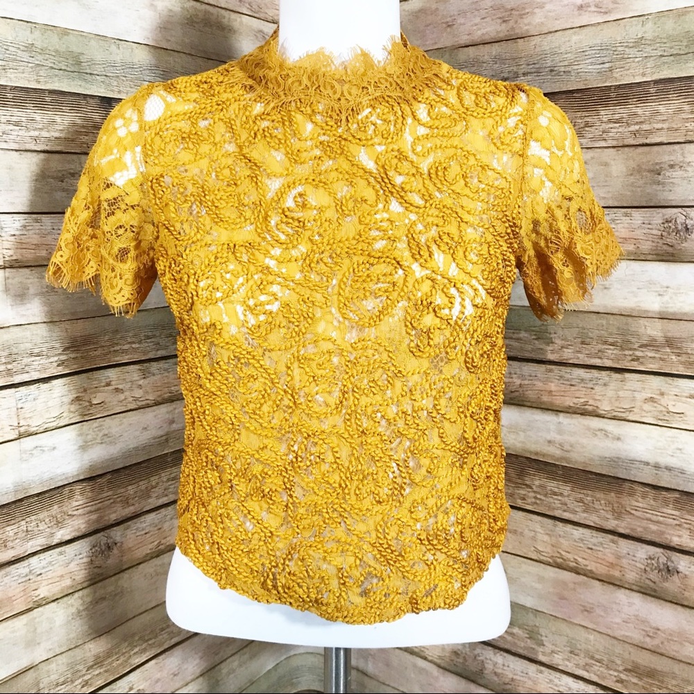 Zara Trafaluc TRF yellow gold embroidered top